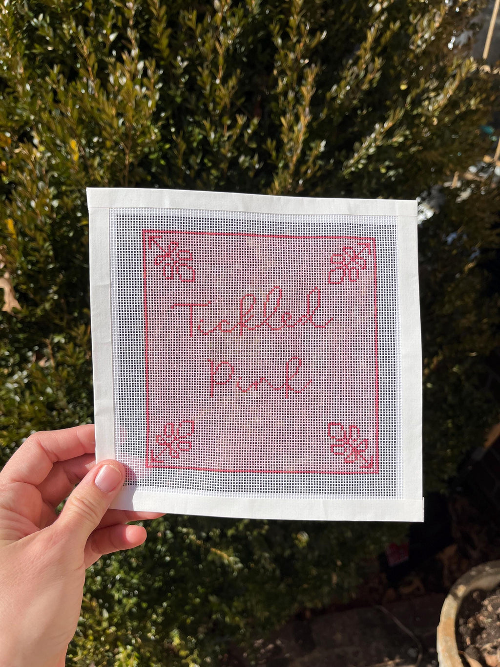 Tickled Pink Needlepoint Canvas