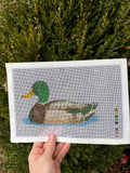 Mallard Duck Needlepoint Canvas
